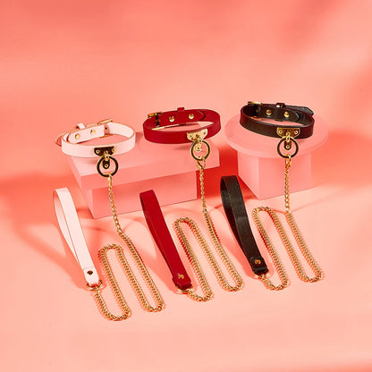 BDSM Collar with Chain Leash
