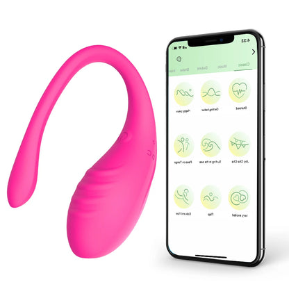 App-Controlled G-Spot Vibrator